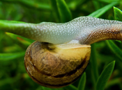 Hazlo revés: empezar desde cero