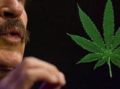 Vicente cruzada para legalización marihuana