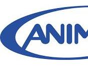 Seguirá Emitiendo ANIMAX Bucle Series Mínimo Hasta Verano
