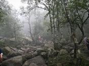Norway: Preikestolen