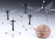 Robots insectoides voladores