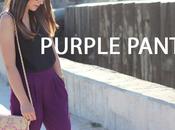 Purple Pants