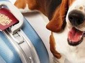 Viajar mascotas normas facilitan