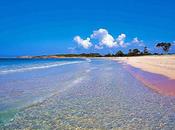 City Guide: Mallorca!!