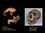 cara humanos modernos apareció hace menos millón años