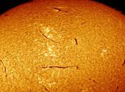 Filamentos solares aparecido toda superficie astro rey. ¿Cómo pudiera afectar éstas estructuras?