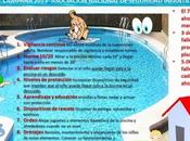 Decálogo seguridad infantil piscinas