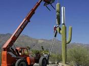 Antenas telefonía camufladas