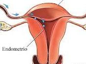 ciclo menstrual