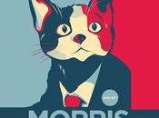 ¿Harto políticos? candiGato Morris solución