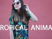 Tropical Animal