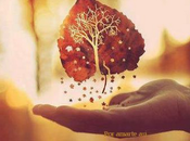 mismo puedes empezar jardinero sueños