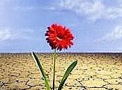 Supera crisis: actitud resiliente
