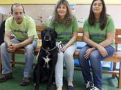 Refugio animales Cambados pionero Galicia nuevo programa terapia perros