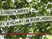 Eslabón Perdido", novela