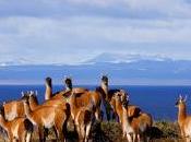 Tierra fuego último rincón patagonia