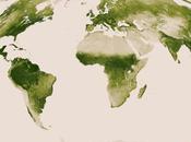 video NASA muestra cambios vegetación todo Mundo