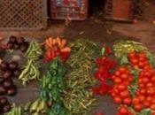 Maroc "una mirada sabiduría