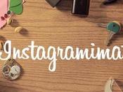 Espectacular vídeo Instagram creado 1.600 imágenes