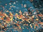 Agosto BLOC PARTY Publicará Nuevo