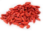 Bayas GOJI
