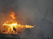 Incendio Arizona deja bomberos muertos