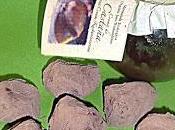 Trufas castaña