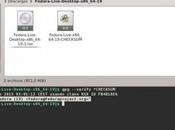 Verificando Fedora