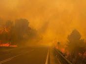 Incendios España Deben Acción Humano