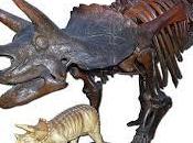 Escudos, lanzas depredación/presa