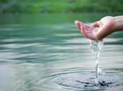 ejercicio extraordinario: ¿Qué harías si…?