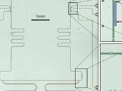 Efecto mecánica cuántica microondas