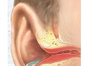 Otitis externa, piscinas nadador