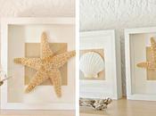 Diy...cuadros realizados conchas estrellas