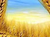 Alfalfa para todos todas !!!‏