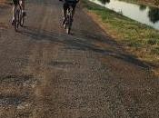 Pedaladas 2013-I.