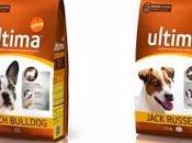 FRENCH BULLDOG JACK RUSSELL, NOVEDADES ULTIMA PARA PERROS MINI Affinity