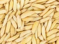Alimentos pueden comer celíacos