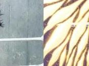 Gina Carano será 'Avengelyne' adaptación cómic Liefeld Cathy Christian