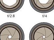 Capítulo Conceptos básicos Parte