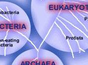 Taxonomía Biología Clasificación seres vivos