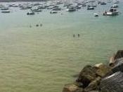 Paréntesis veraniego 2013