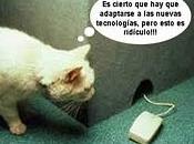 Hacia nueva dimensión lengua