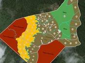 Selva Encantada: eco-comunidad concebida depredadores inmobiliarios