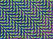 Animal Collective