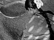 Fotografía Café Sebastião Salgado