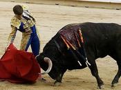 como vinieron: torear