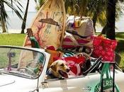 Holidays!!!