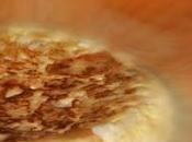 Tortilla Patatas
