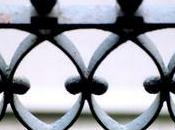 Anatomía: humor vítreo